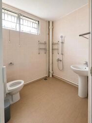 Peakview Estate (D16), Terrace #612670231